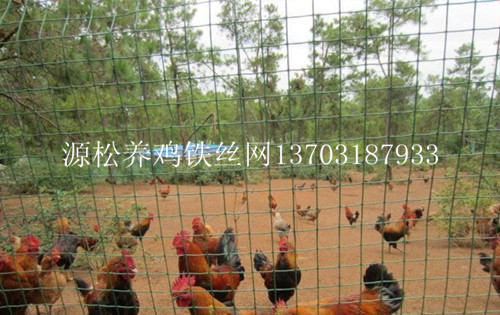 養(yǎng)雞綠色圍欄網(wǎng)