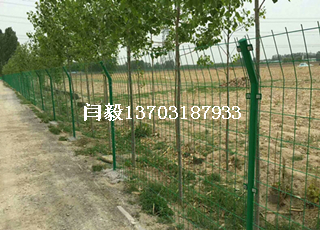 圍雞鐵絲網(wǎng)